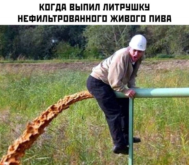 Весёлый полтишок 10.11.22
