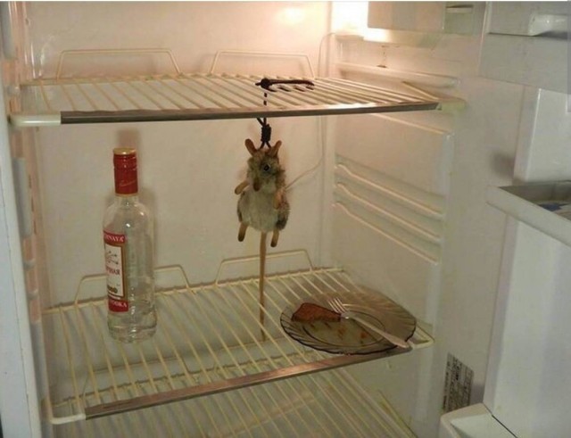 А что у вас в холодильнике?