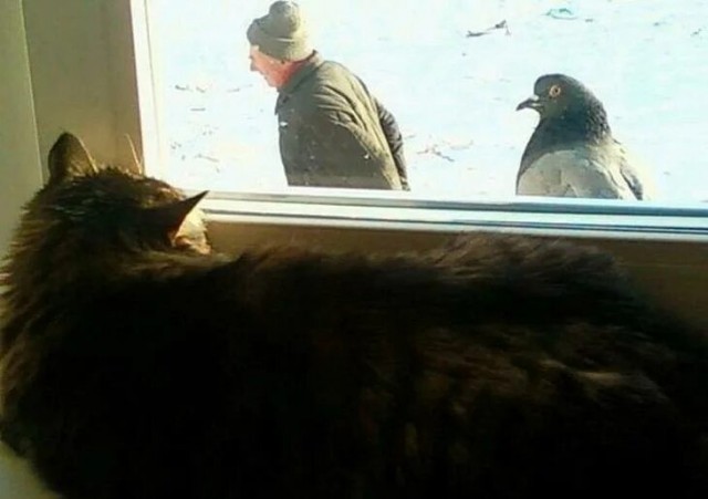 И правда страшное зрелище