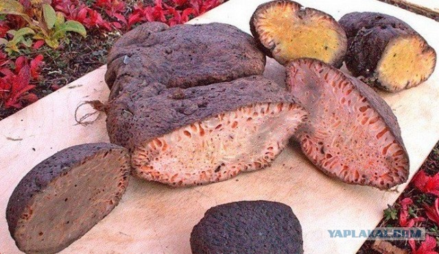 Салат из Якутии признали худшим блюдом в мире