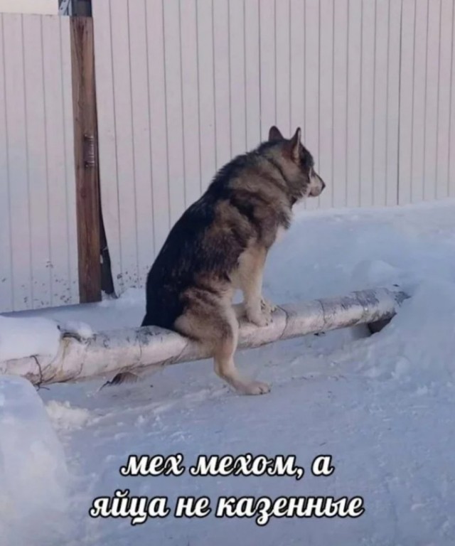 Необычные картинки