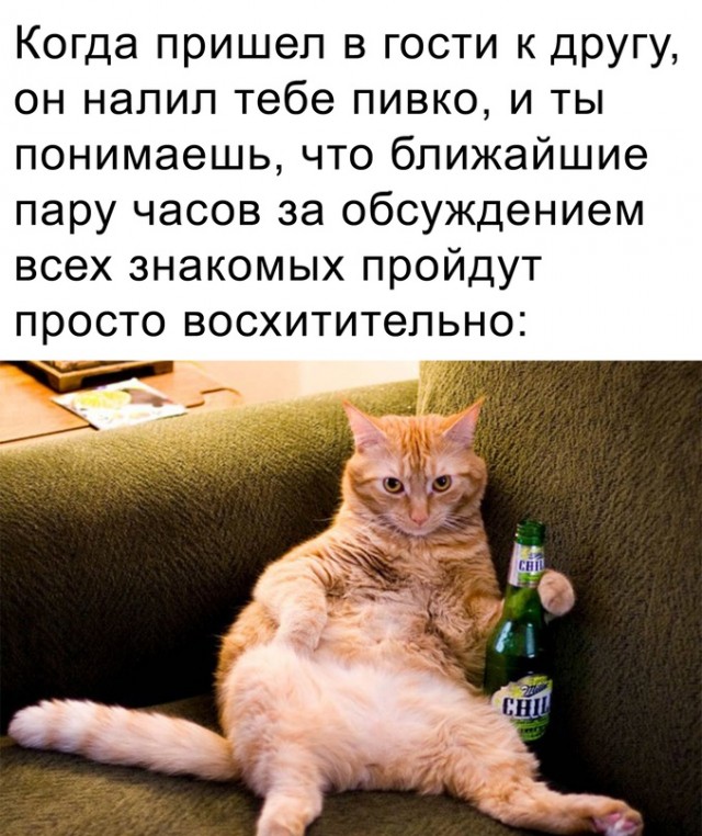 Картинки и мемы, всем хороших выходных