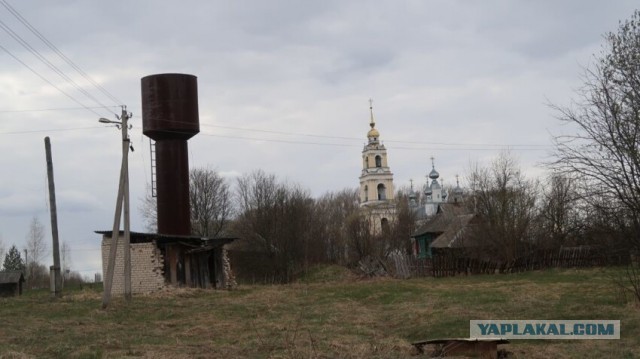 Затерянная русская деревня в 400 км от Москвы. Как выживают люди посреди лесов