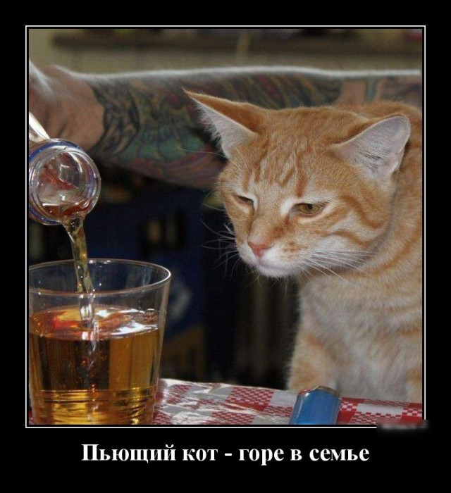 Ну что тут поделаешь, бывает