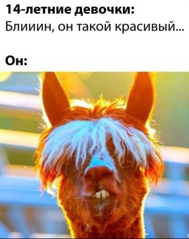 Всего понемногу 24.05