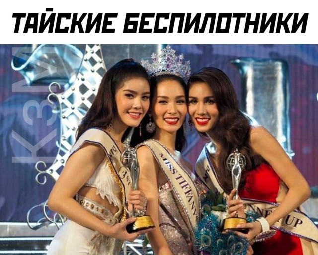 Весёлый полтишок 08.07.23