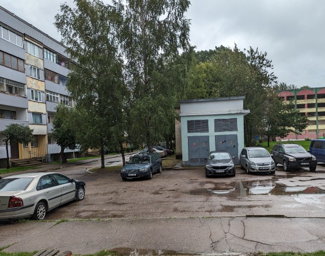 Если в ходе эволюции выживают лучшие, почему все женщины не выглядят, как супермодели?