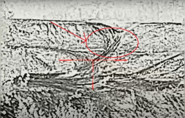 Кавалерия на СВО