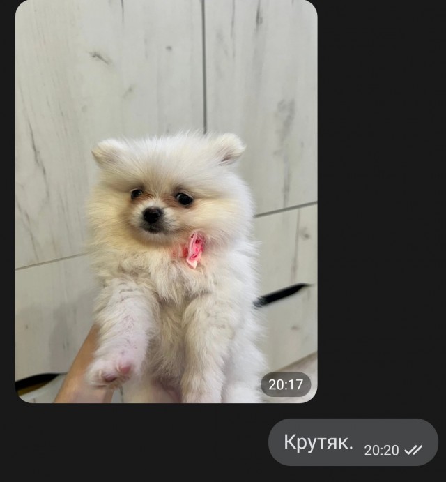 Жена⁠⁠