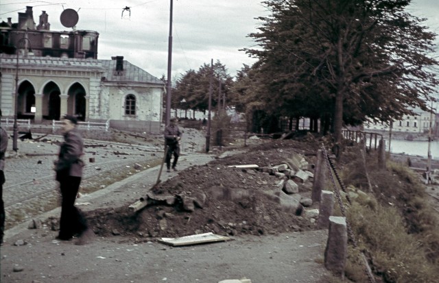 Цвет войны. Фотоподборка