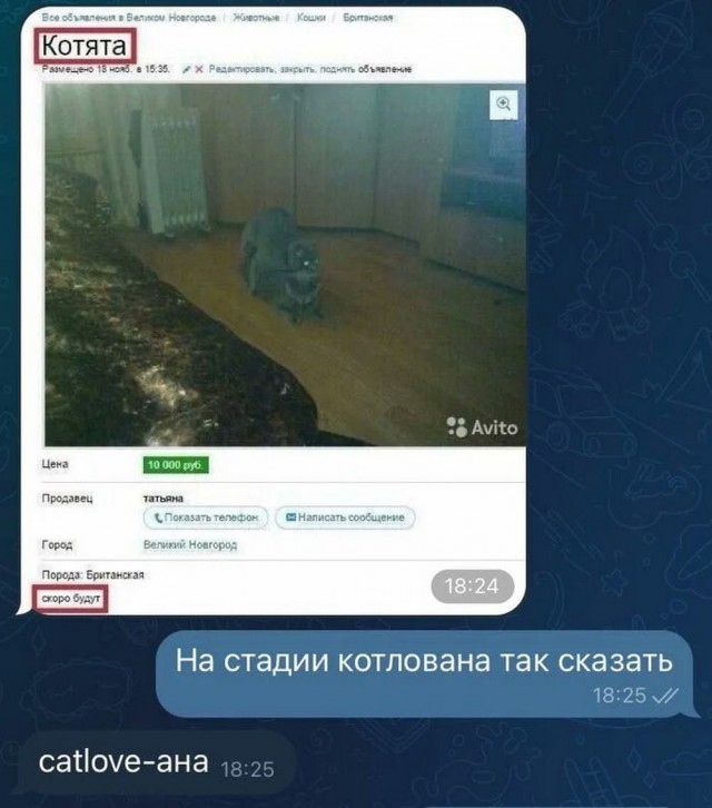 Немного немного