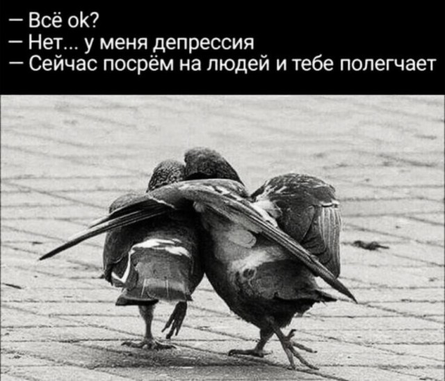 Маленькая пятница в ДСВ