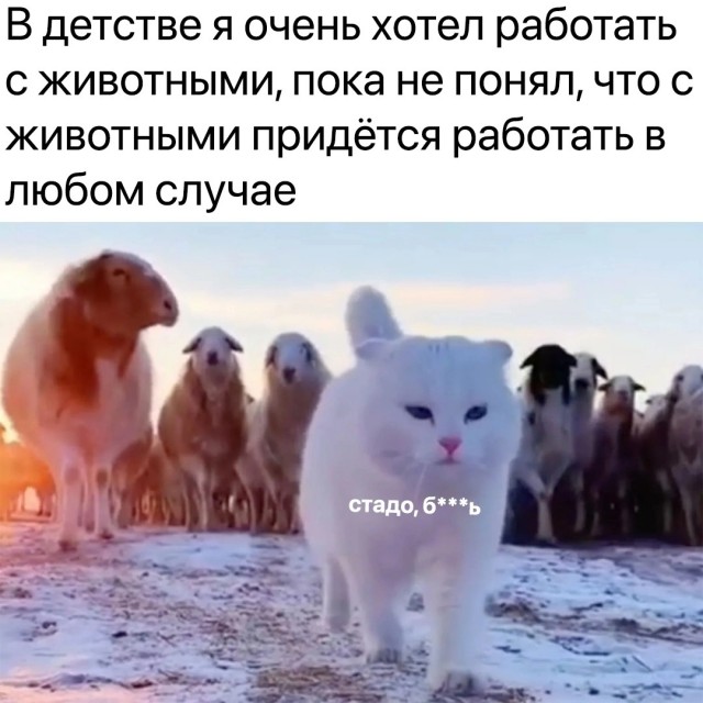Как обещал - зимние баяны