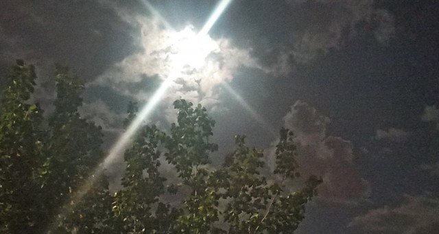 Фоточку сделал сейчас
