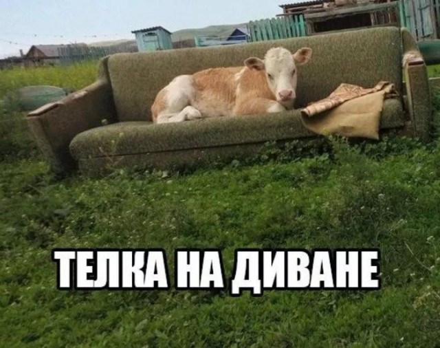 Отряд быстрого деградирования
