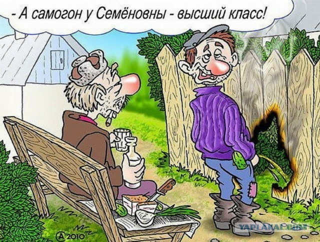 Такая вот жизнь...