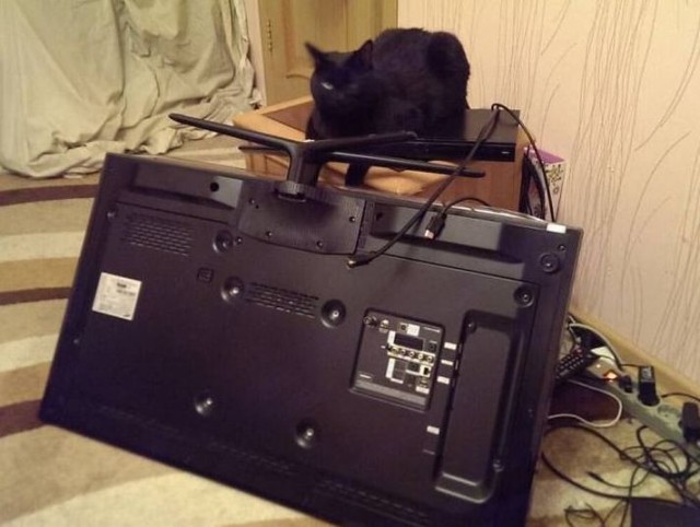 Вроде бы ничего не предвещало беды