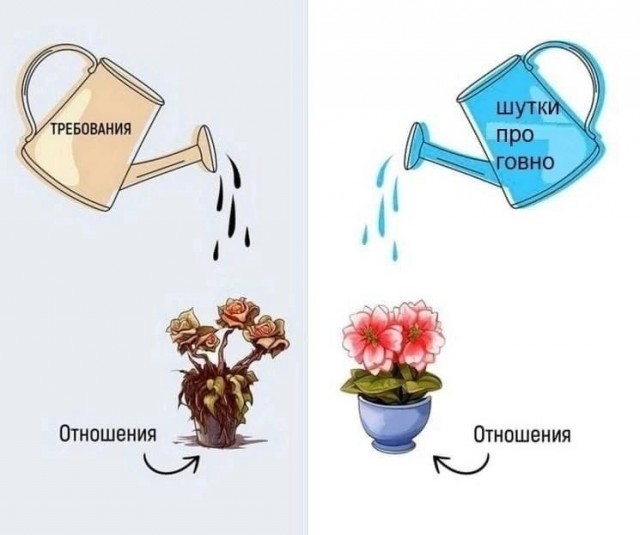 Всего понемногу. От 21.11.2024.