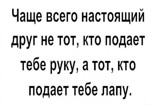 Так себе картинки 24.11.24