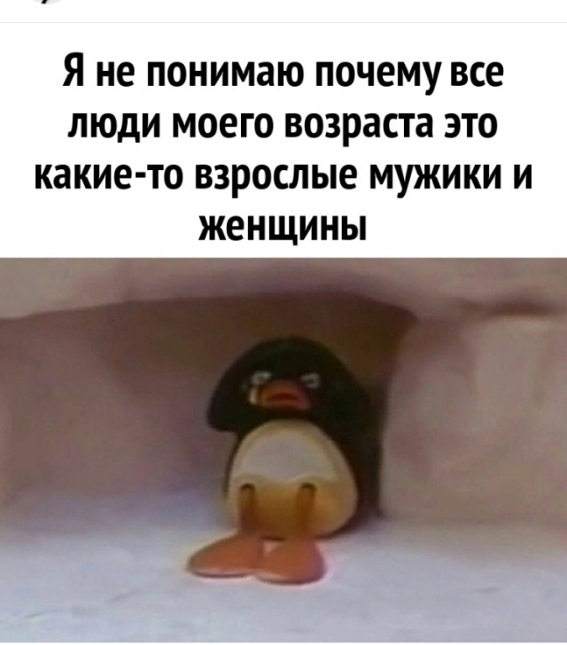 Так себе картинки 24.03.25