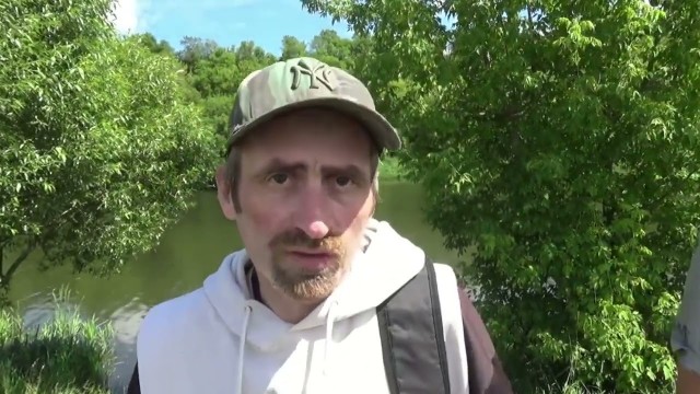 Прохожие застали двух котов за серьёзной разборкой и решили устроить тайм-аут на перекус