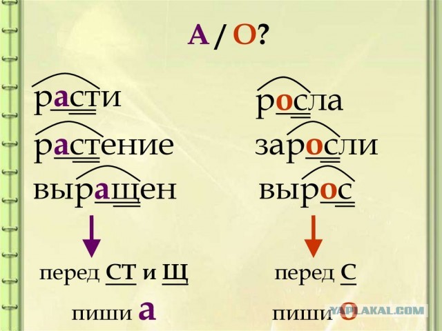 Простирала кофту