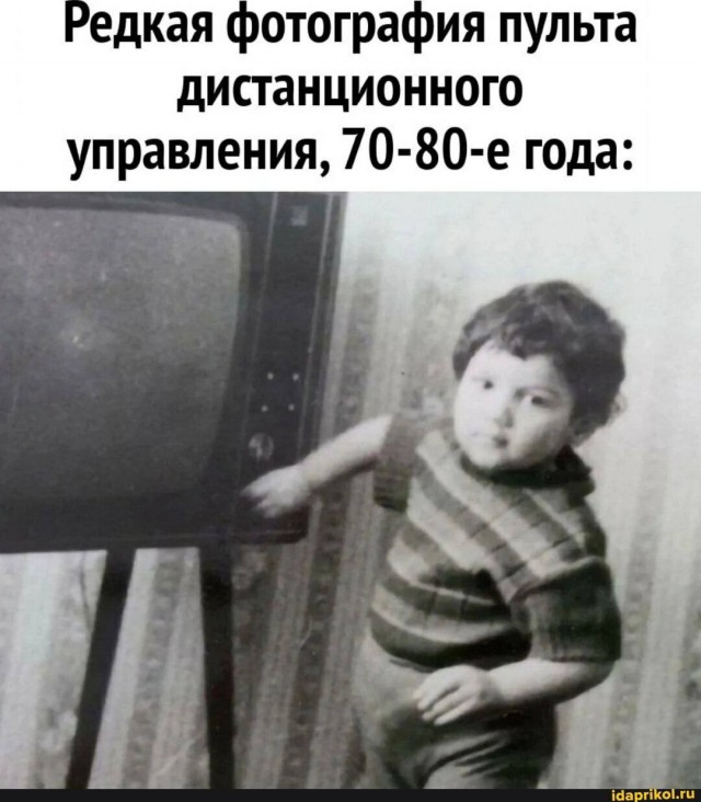 Юмор для тех, кто уже повзрослел и понял, что «личная жизнь» — это кот и плед