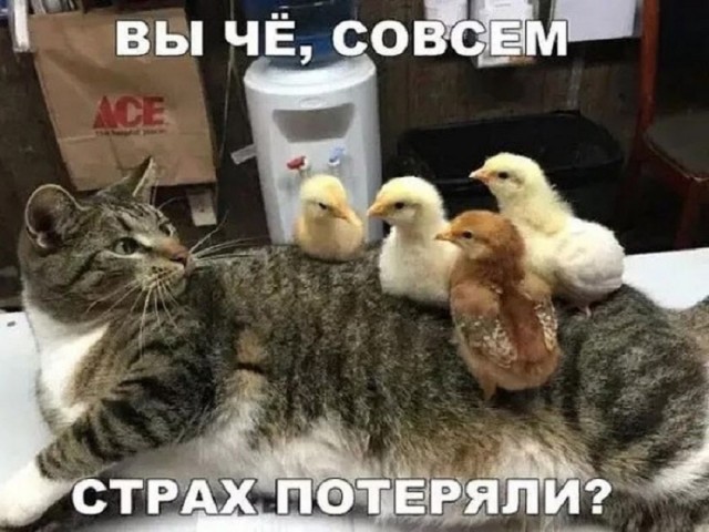 Так себе картинки 15.06.25