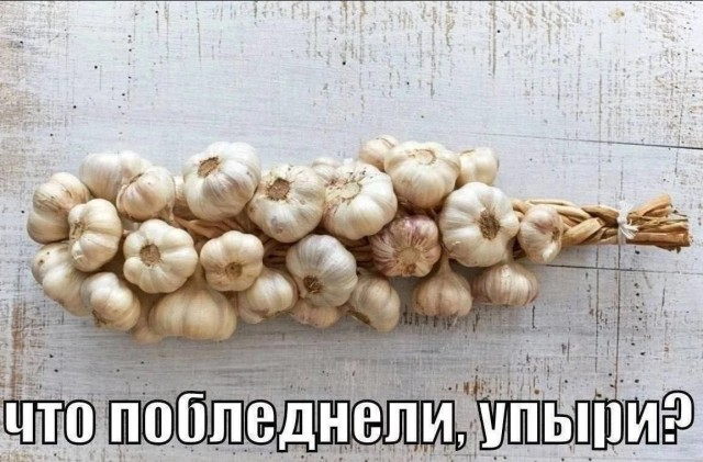 Нуштош 11.07.2025. Нейролингвистическое раскодирование (s4e3)