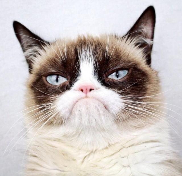 Истории с идеальными совпадениями