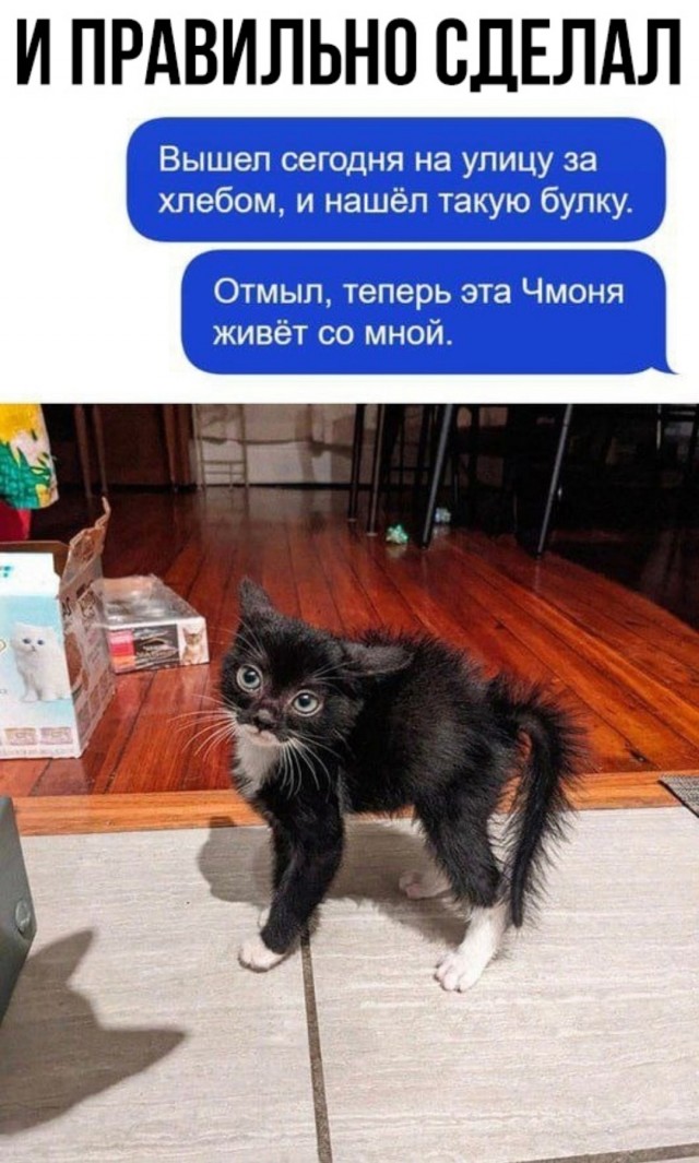 Юмор для тех, кто уже повзрослел и понял, что «выходные» — это просто два дня на уборку