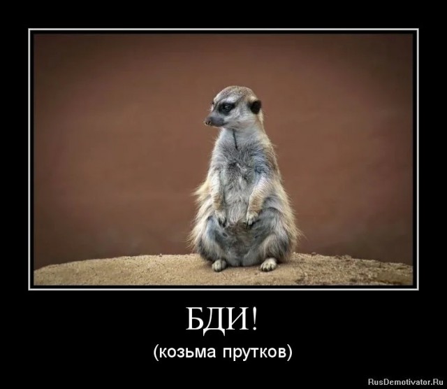 Как спит настоящий ЯПовец?