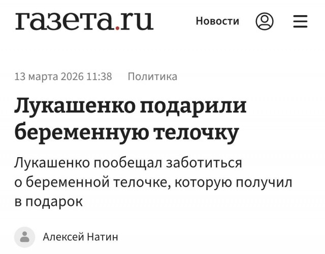 Вот это я понимаю — демографическая программа