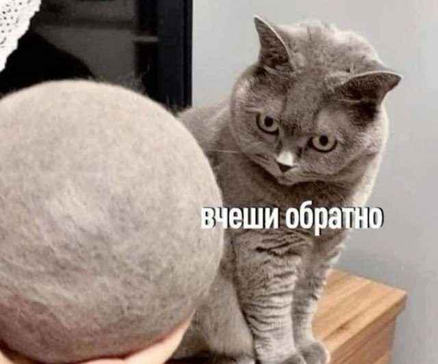 Верните всё взад!!!