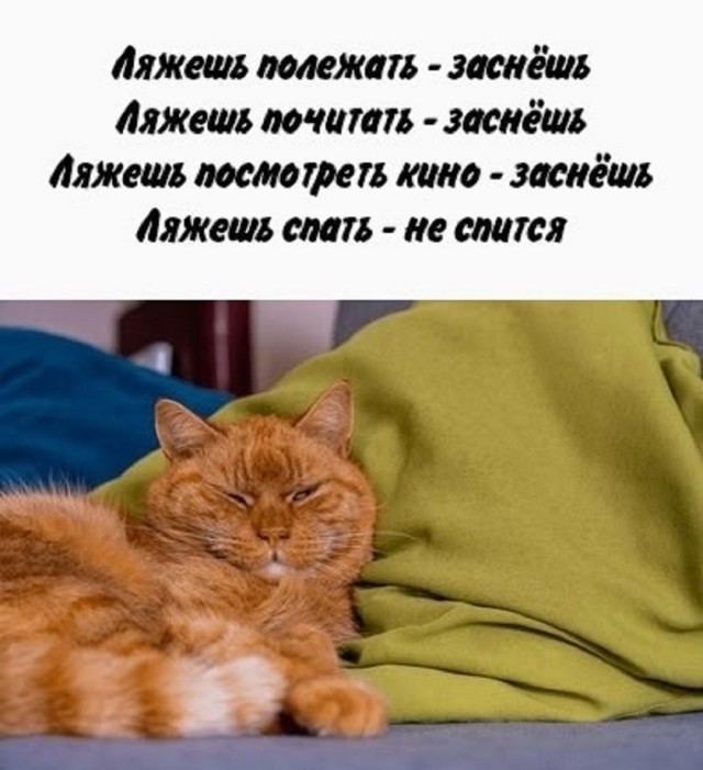 Так себе картинки 17.06.26