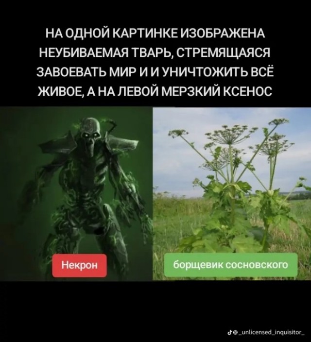 Картинки для деградации 232 (разной степени свежести)