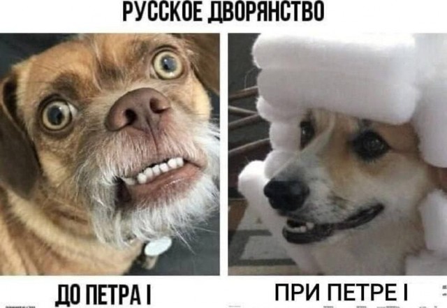 Картинки для деградации 244 (разной степени свежести)