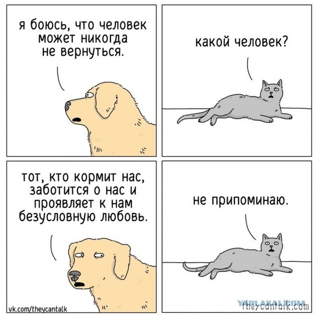 Капля юмора 3