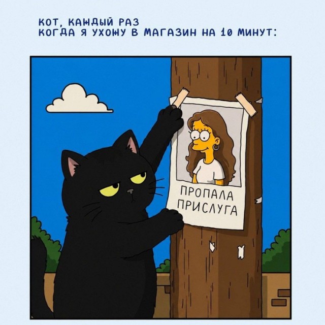 Так себе картинки 18.08.26