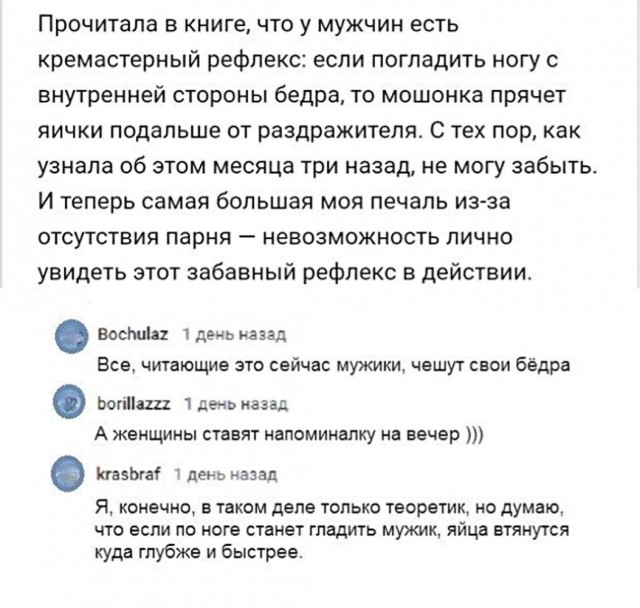 Рефлекс