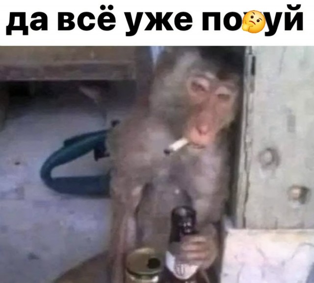 Госдума приняла в первом чтении проект бюджета на 2027-2029 годы