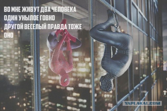 Мысли: кратко - но ёмко