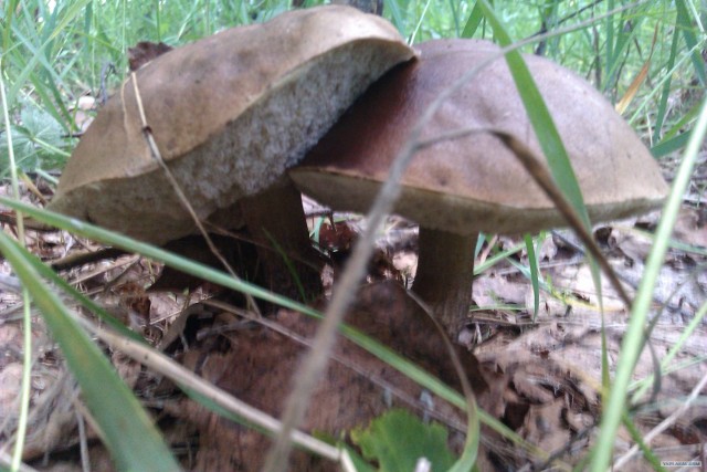 Просто выходные...