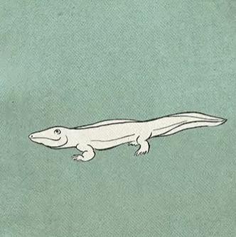 600 миллионов лет эволюции человека за 15 секунд