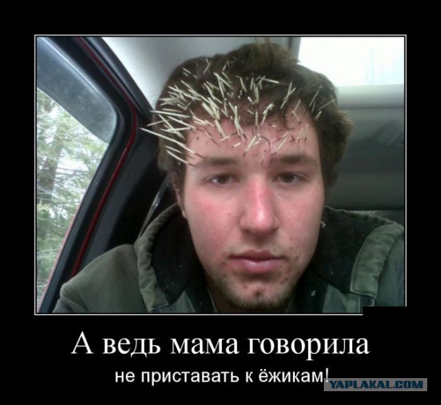 Весёлые картинки на субботу