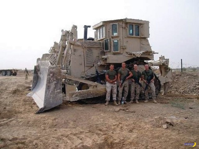 "Плюшевый мишка"