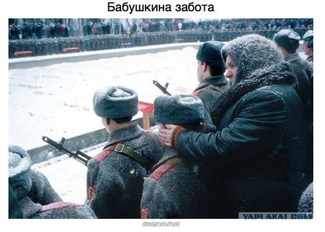 Приехали вот к бабушке по хозяйству помочь