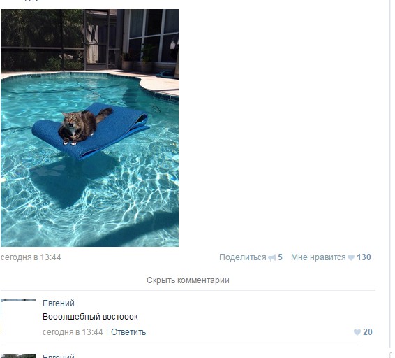 Смешные комментарии из социальных сетей
