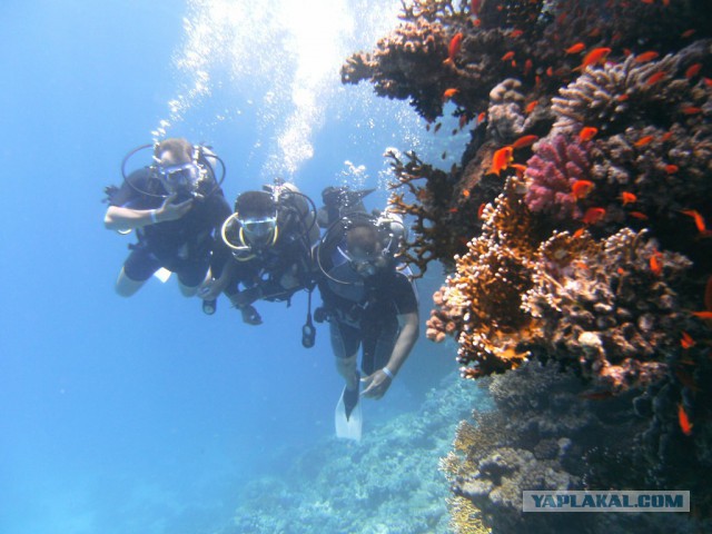 Так выглядят курорты Египта без русских туристов