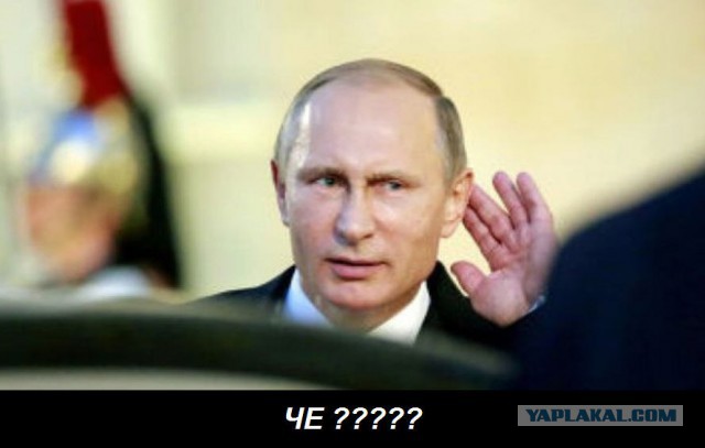 Послание президента. Реакция соцсетей.
